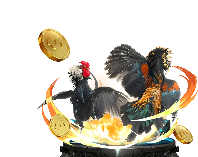 Tin tức thị trường cá cược trực tuyến